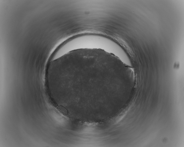 X0000096160484200802011259