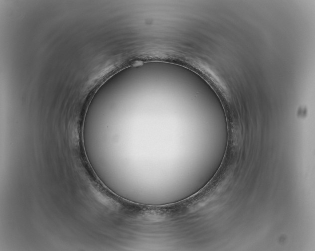 X0000096160489200802011259