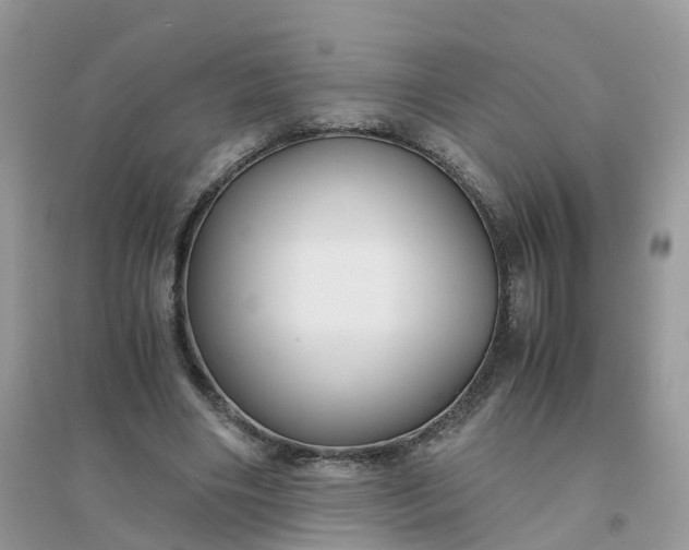 X0000096160490200802011259