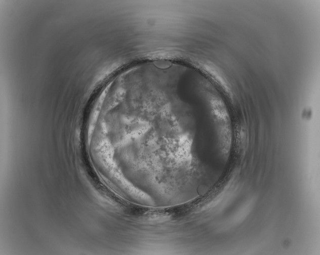 X0000096160491200802011259