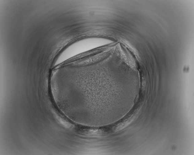 X0000096160493200802011259