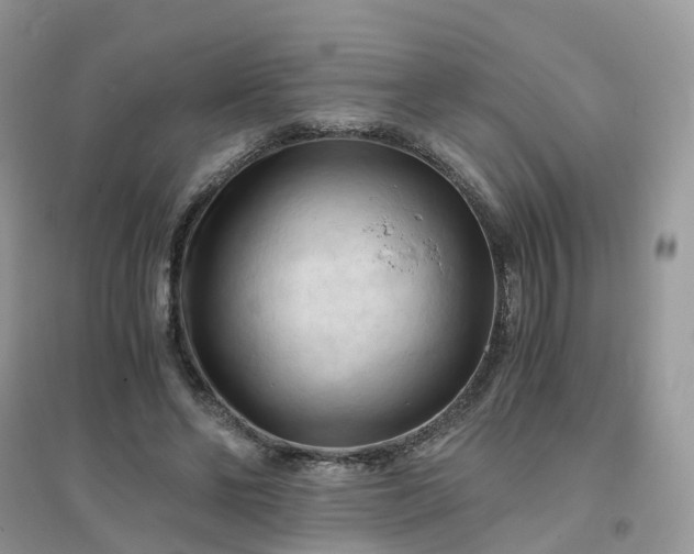 X0000096160494200802011259