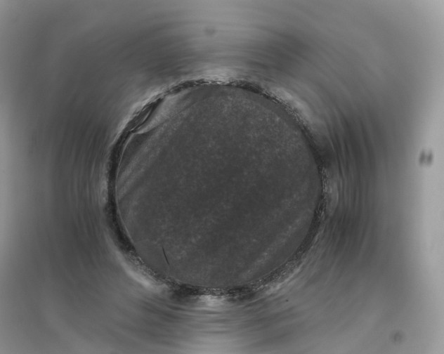 X0000096160496200802011259