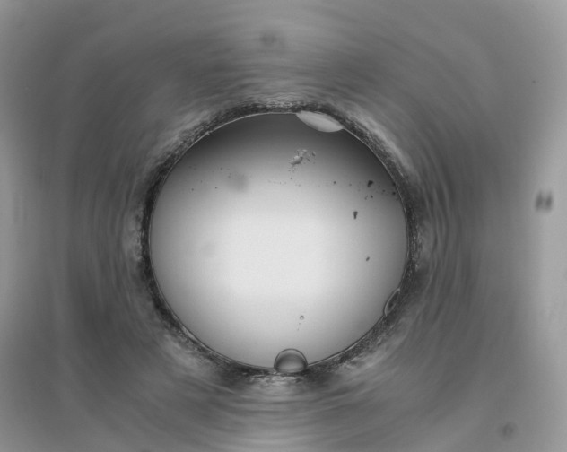 X0000096160497200802011259