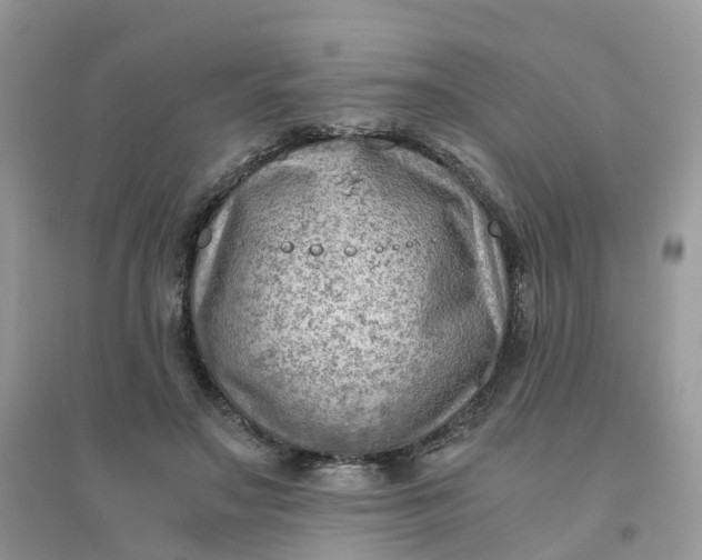 X0000096160499200802011259