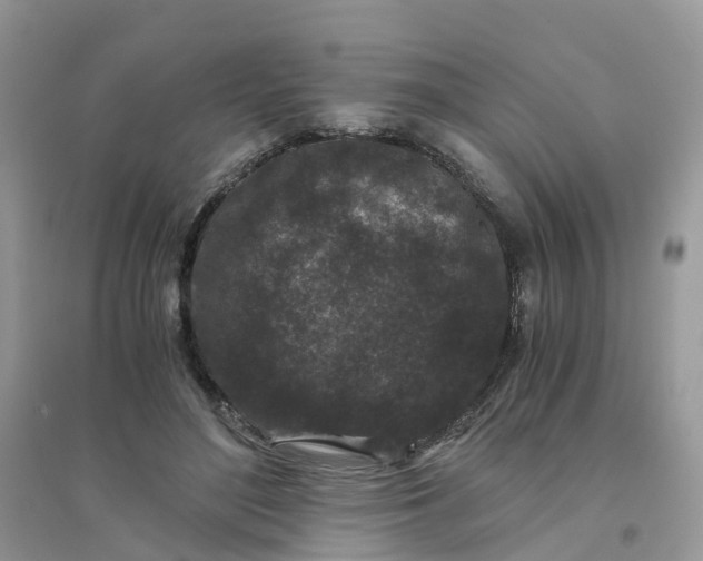 X0000096160500200802011259