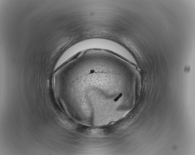 X0000096160501200802011259