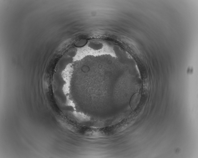 X0000096160503200802011259