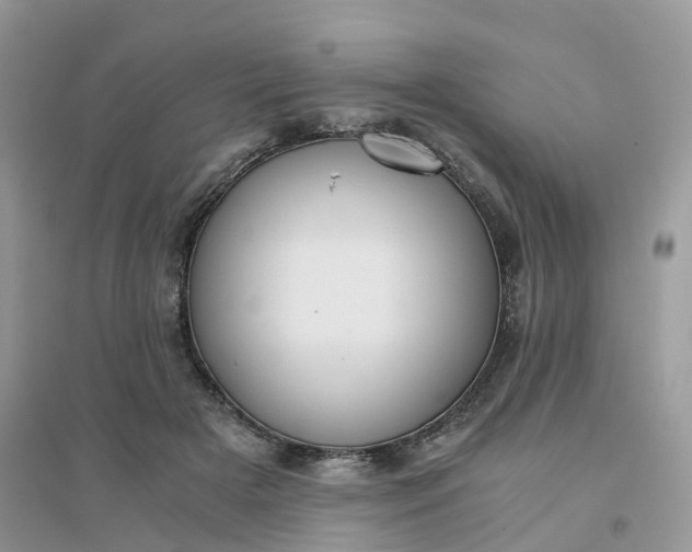 X0000096160505200802011259