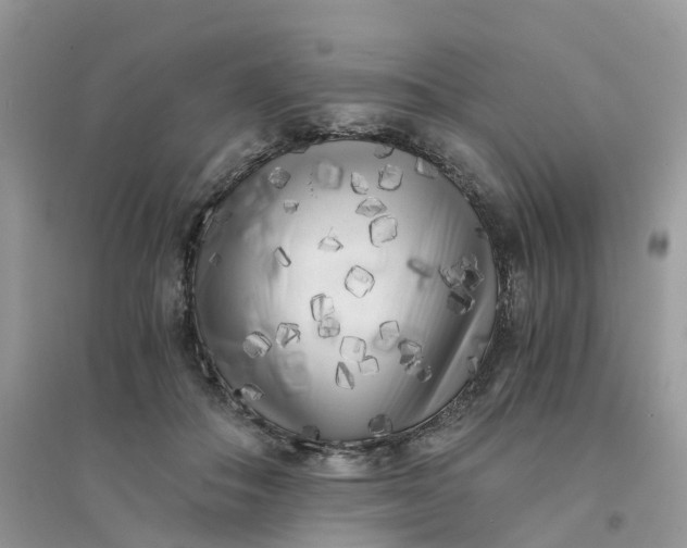 X0000096160506200802011259