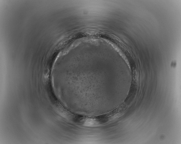 X0000096160507200802011259