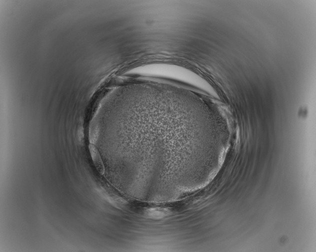 X0000096160508200802011259