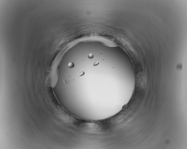 X0000096160509200802011259