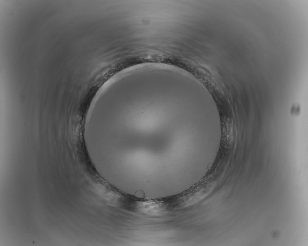 X0000096160511200802011259