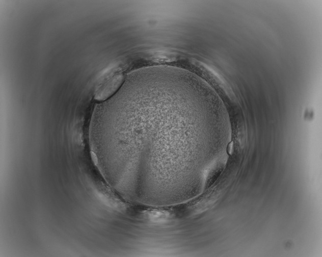 X0000096160512200802011259