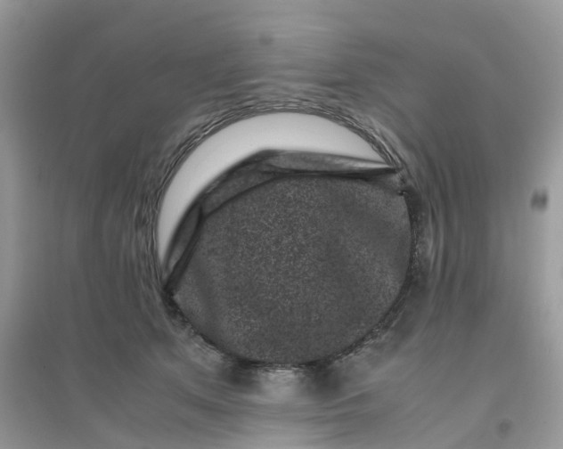 X0000096160513200802011259