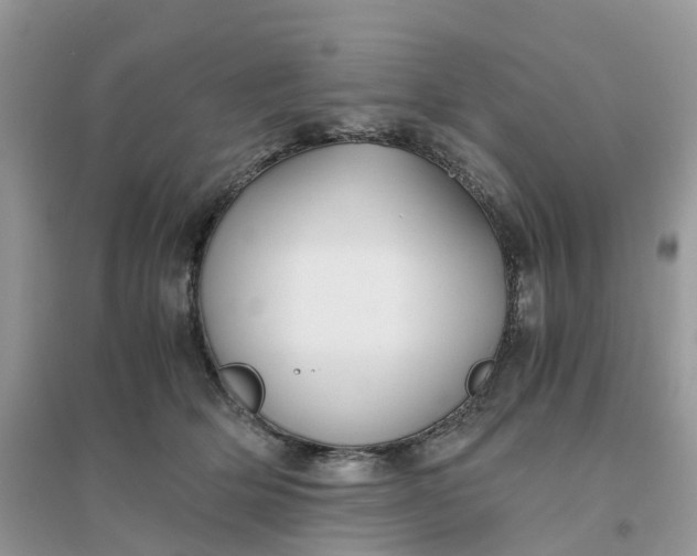 X0000096160514200802011259