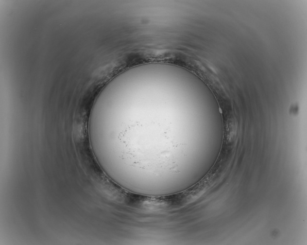 X0000096160515200802011259