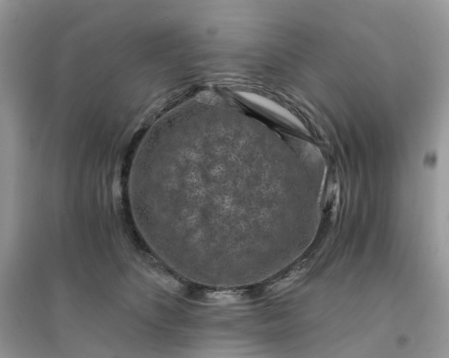 X0000096160516200802011259