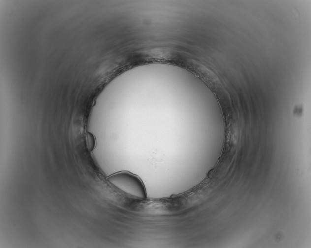 X0000096160518200802011259