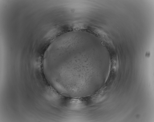 X0000096160519200802011259