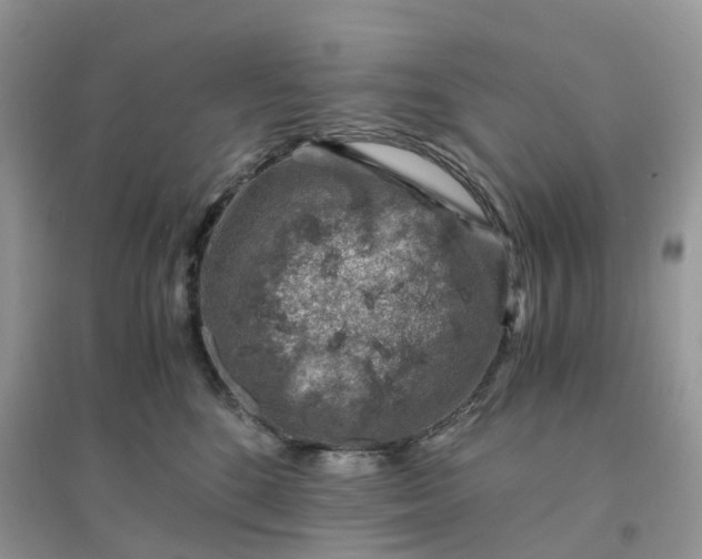 X0000096160520200802011259