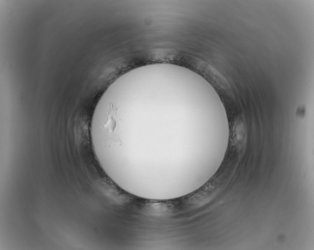 X0000096160522200802011259