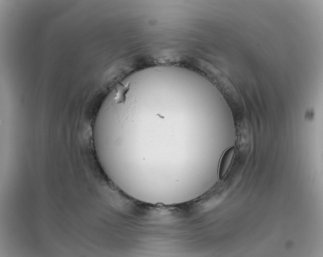 X0000096160523200802011259