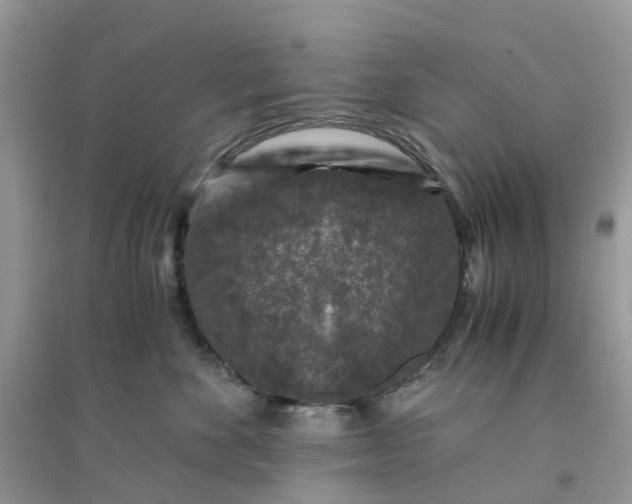 X0000096160524200802011259