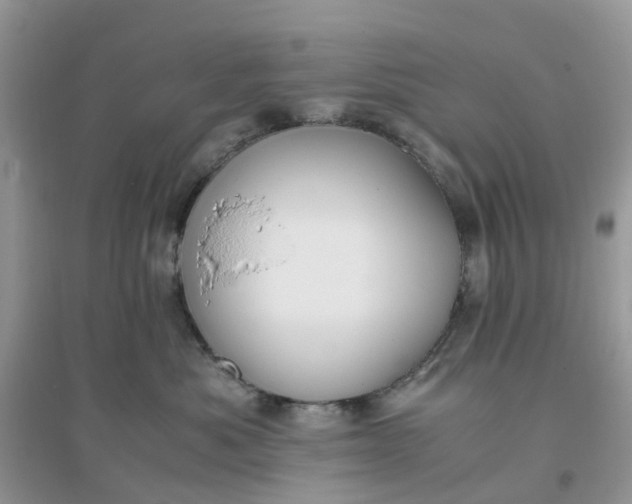 X0000096160525200802011259