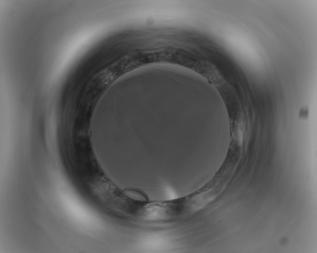 X0000096160526200802011259