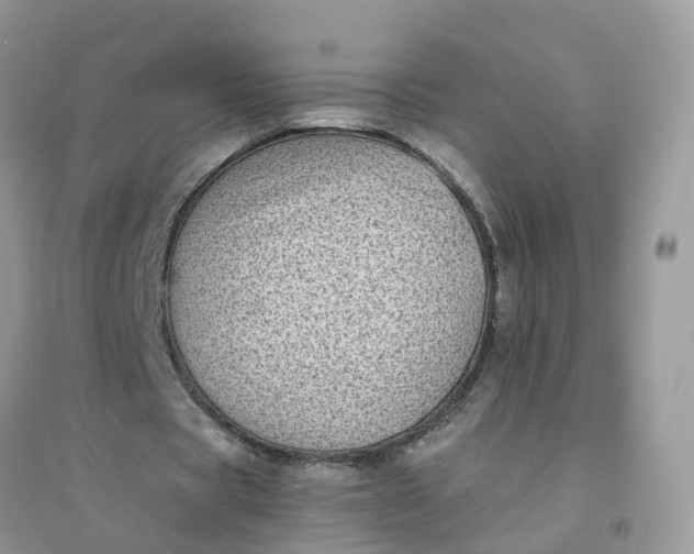 X0000096160529200802011258