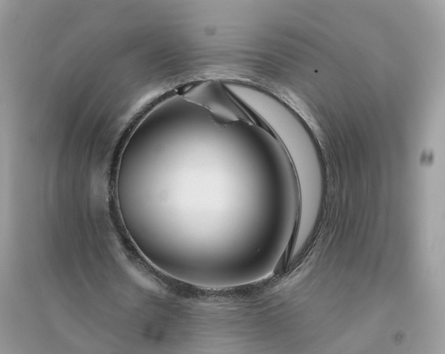 X0000096160530200802011258