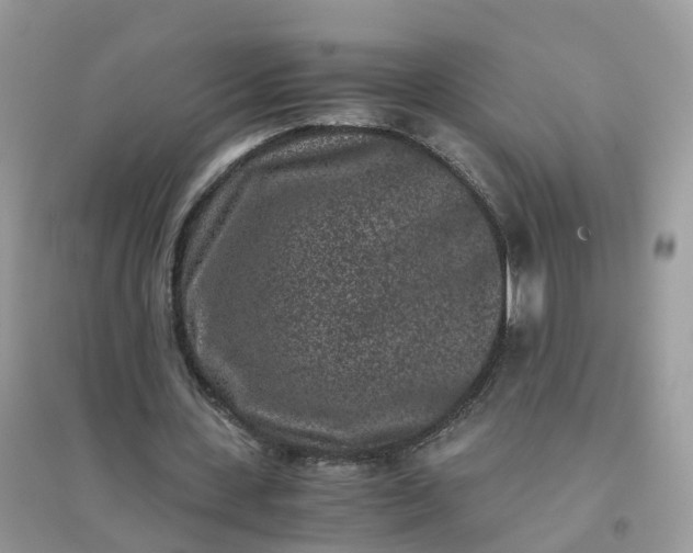 X0000096160531200802011258