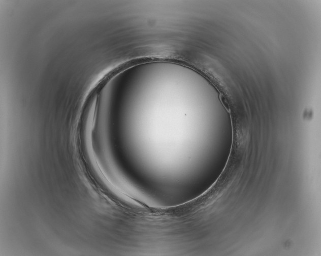 X0000096160532200802011258