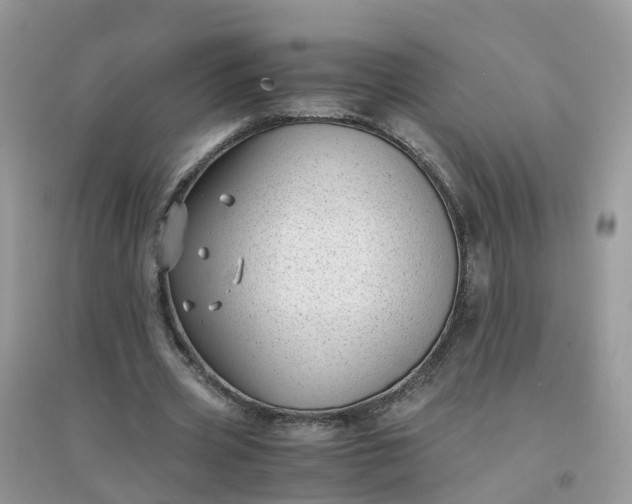 X0000096160533200802011258