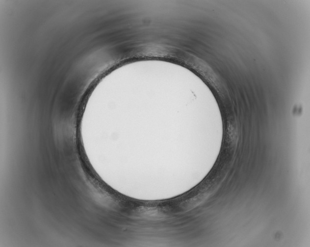 X0000096160534200802011258