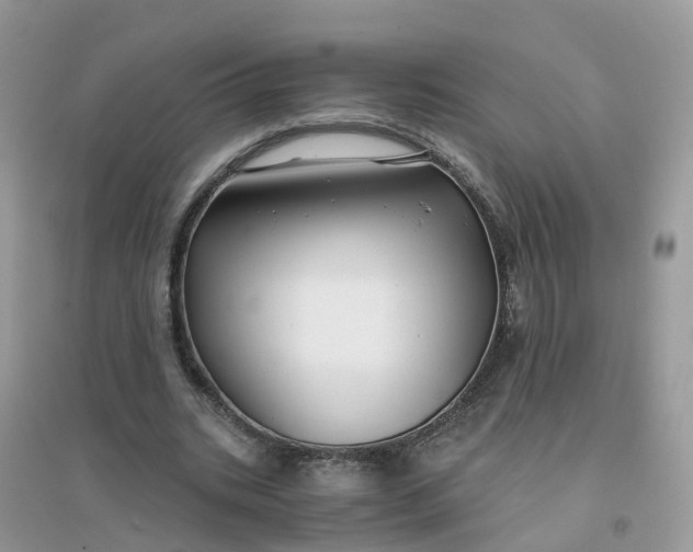 X0000096160535200802011258