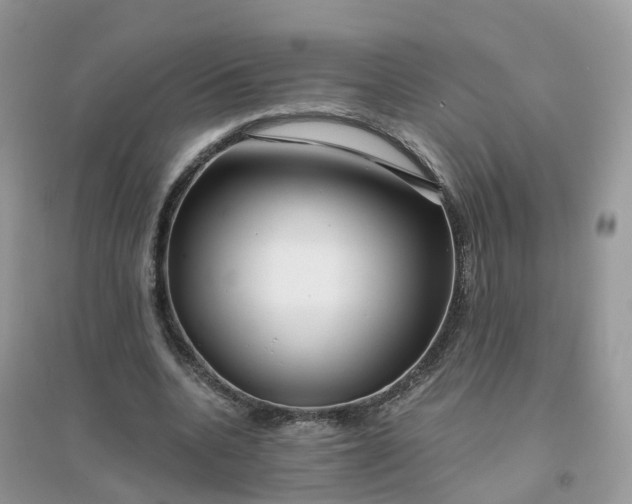 X0000096160536200802011258