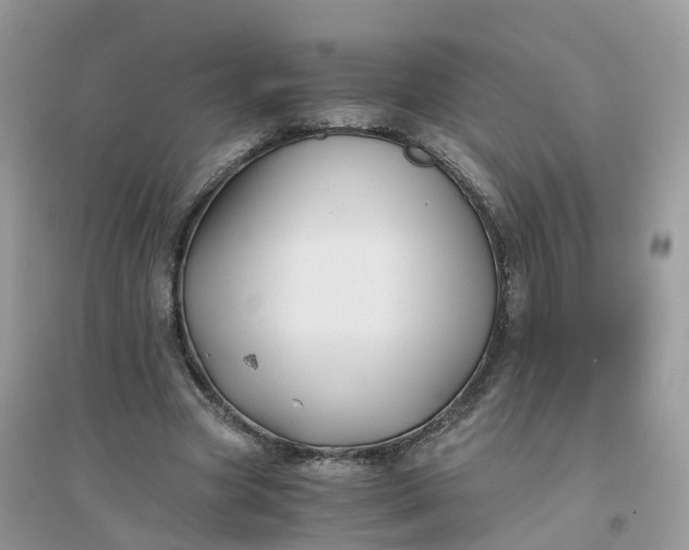 X0000096160537200802011258