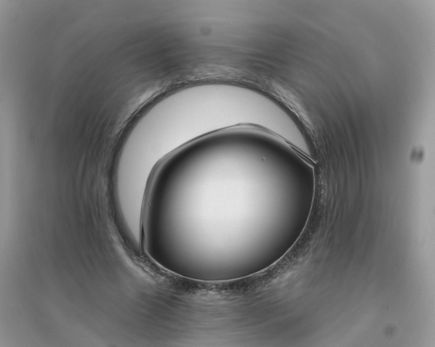 X0000096160538200802011258