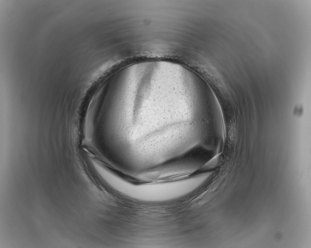 X0000096160540200802011258