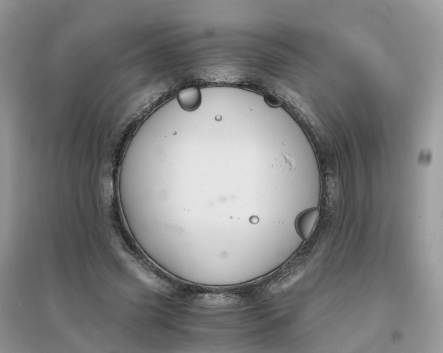 X0000096160541200802011258