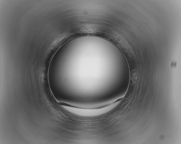 X0000096160544200802011258