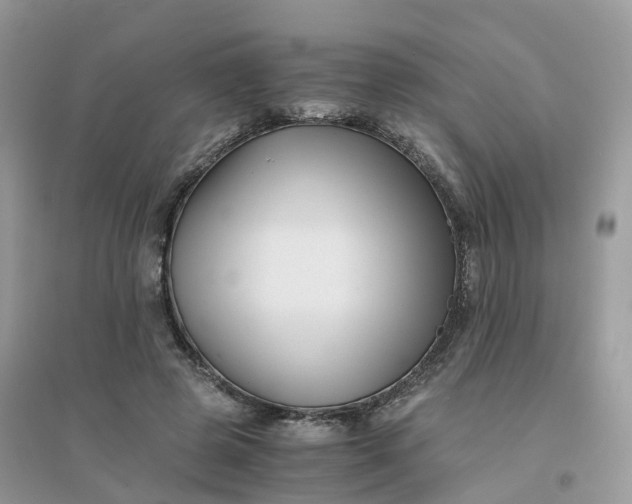 X0000096160545200802011258