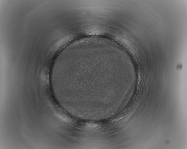 X0000096160547200802011258