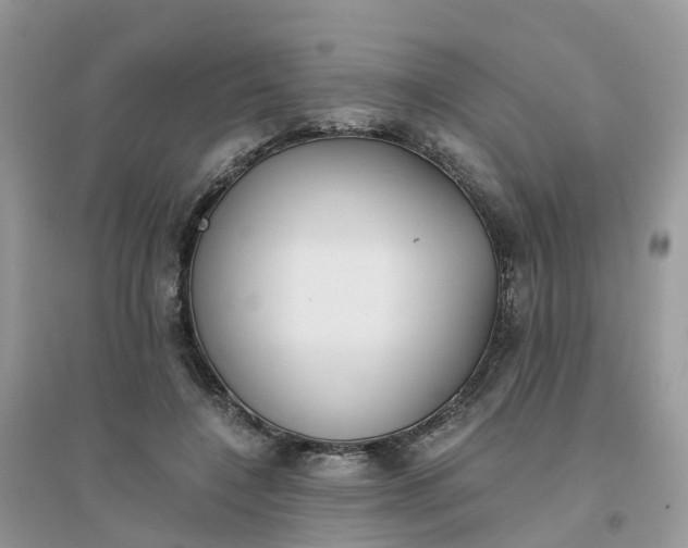 X0000096160548200802011258