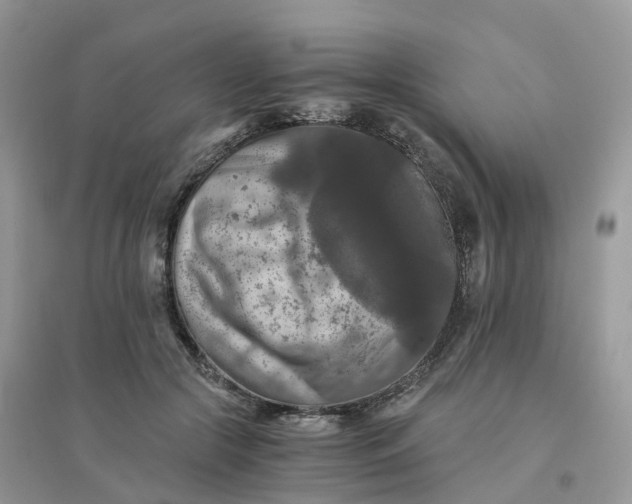 X0000096160553200802011258