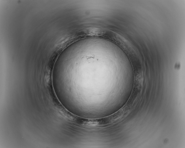 X0000096160554200802011258