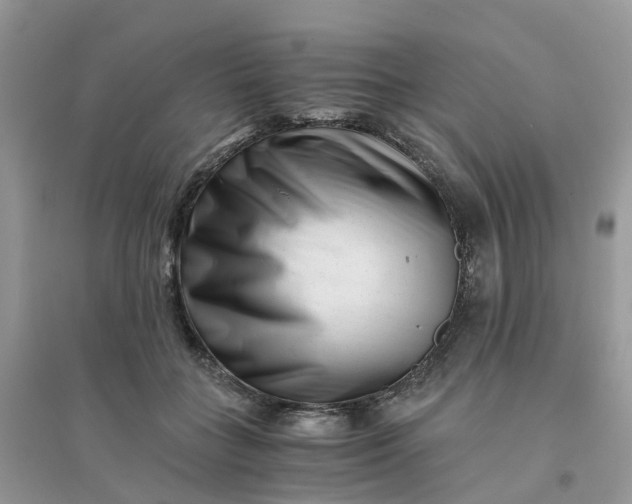 X0000096160555200802011258